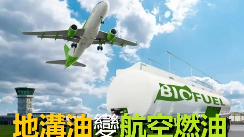 「地溝油」價值飛升